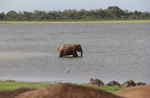 Wilpattu National Park day tour from Negombo region