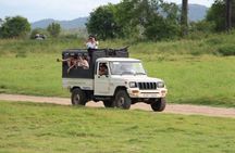 Wilpattu National Park day tour from Negombo region