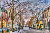 Trondheim private guided walking tour