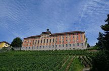 Meersburg private and guided walking tour