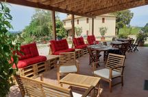 Chianti winery tour with 4 wines tasting
