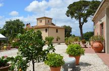 Chianti winery tour with 4 wines tasting