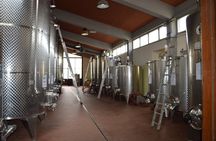 Chianti winery tour with 4 wines, cheese and bruschettas tasting