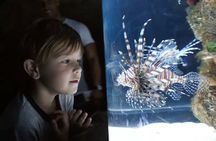 Temaiken Biopark tour from Buenos Aires