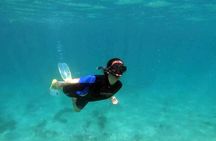 Combo Clear Kayaking Experience & Snorkelling Tour