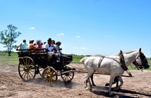 Estancia Santa Susana Gaucho day tour from Buenos Aires