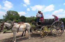 Estancia Santa Susana Gaucho day tour from Buenos Aires