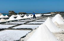 Salinas de Janubio Salt Flats Ticket