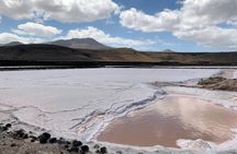 Salinas de Janubio Salt Flats Ticket