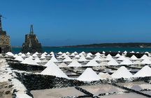 Salinas de Janubio Salt Flats Ticket