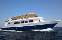 Red sea trip and Island with Lunch from Hurghada
