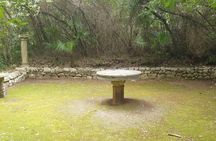 Private Botanical Garden Trsteno visit with photo stops