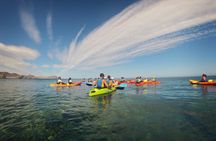 Cabo de Gata Natural Park kayak and snorkeling tour