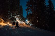 Night Sledding in the Alps with Fondue from Interlaken