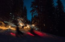 Night Sledding in the Alps with Fondue from Interlaken