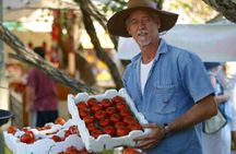 Sunshine Coast and Noosa Eumundi Markets Return Bus Transfer