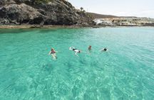 Sailing experience  with dolphin watching  in Fuerteventura