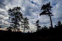 Intro to Michaux State Forest bike tour