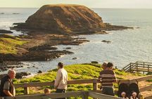 Healesville Sanctuary and Phillip Island Wildlife Park bus tour