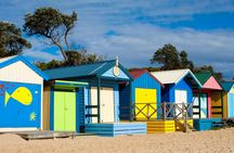 Phillip Island wildlife and Brighton Beach Boxes bus tour