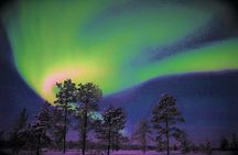 Levi snowmobile safari under the northern lights