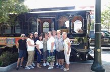 90-minute Atlanta trolley tour