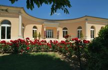 Vignobles Chatonnet wine tasting tour at Vignobles Chatonnet