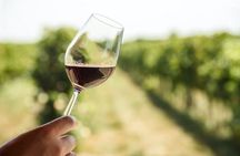 Vignobles Chatonnet wine tasting tour at Vignobles Chatonnet