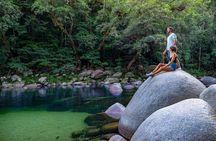 Daintree Rainforest Tour