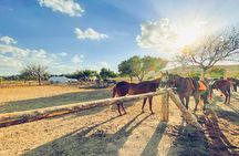 Cappadocia valleys 2-hour horseback ride experience