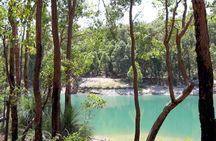Guided hike in Araluen botanic park