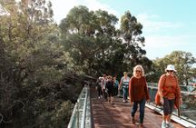 Guided Hike of the highlights of Kings Park