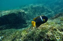 Los Cabos hidden beach snorkeling experience