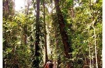 Half day Ngana Kulkinga Dungay tour