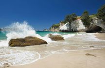 Coromandel Coastal experience