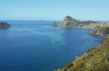 Coromandel Coastal experience