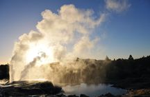 Te Puia Geothermal Valley Experience