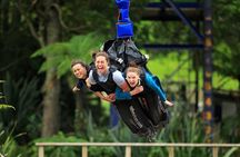Skyline Rotorua and Velocity Valley double adventure experience