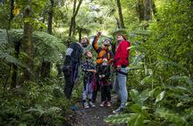 The original canopy experience