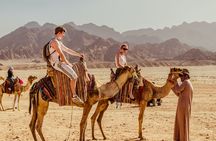 Naqb National Park in a 4x4 with camel ride and dinner