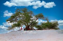 Flora and fauna trip in Bahrain from Manama
