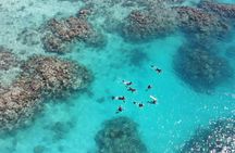 Port Douglas outer reef snorkelling tour