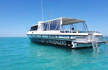 Port Douglas outer reef snorkelling tour