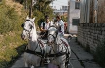 Secrets of the Viennese Fiaker and carriage ride in Vienna