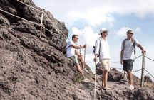 Pompeii ruins and Mt. Vesuvius volcano day trip from Naples