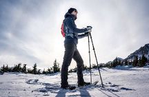 Beginners snowshoeing adventure in Anchorage