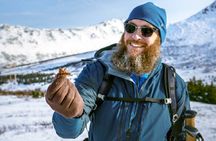 Beginners snowshoeing adventure in Anchorage