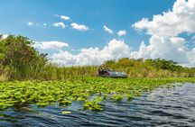Everglades admission ticket with airboat ride and wildlife show