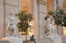 Louvre Museum fast-track ticket with audio tour on mobile app