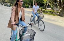 Seville half-day city top monuments bike tour